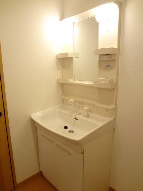 Washroom. Shampoo dresser