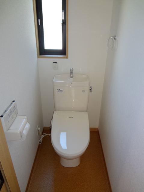 Toilet. Lid of the toilet seat, Auto in Akundesu