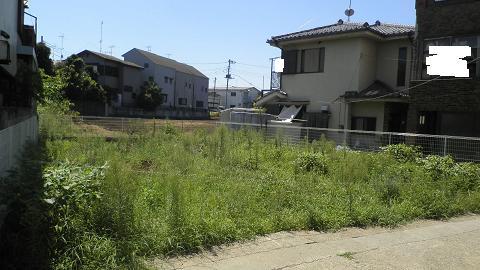 Local land photo. Local (August 2013) because there is no shooting south side building, Sunny