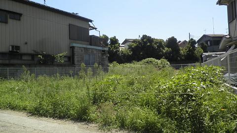 Other local. Local (August 2013) Shooting