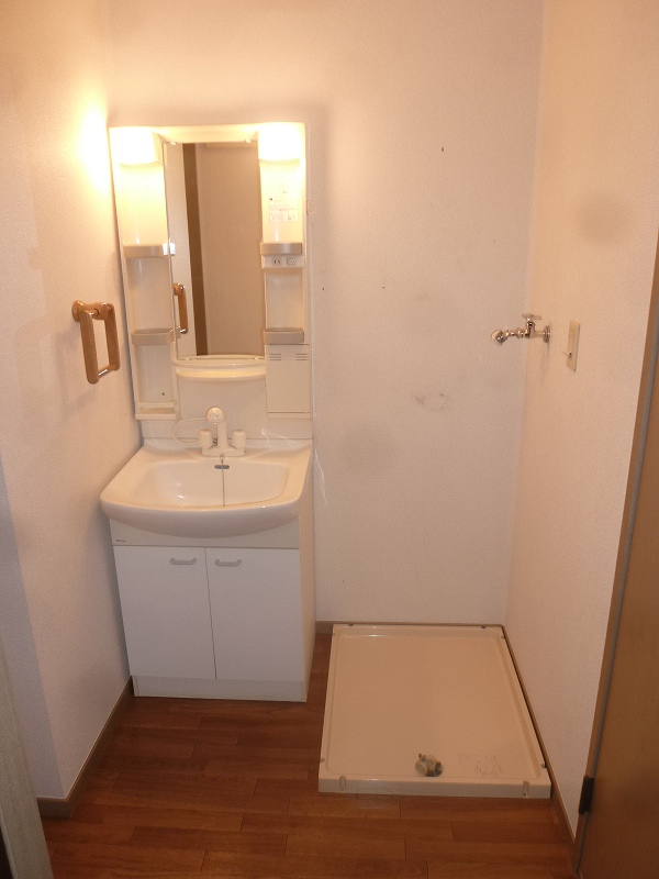 Washroom. Shower Dresser