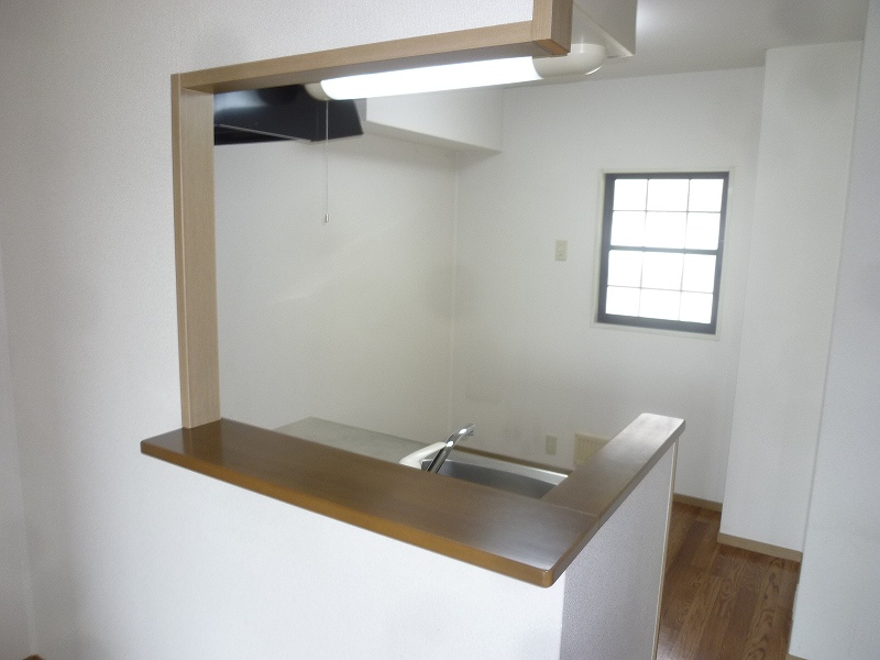 Kitchen. Face-to-face kitchen