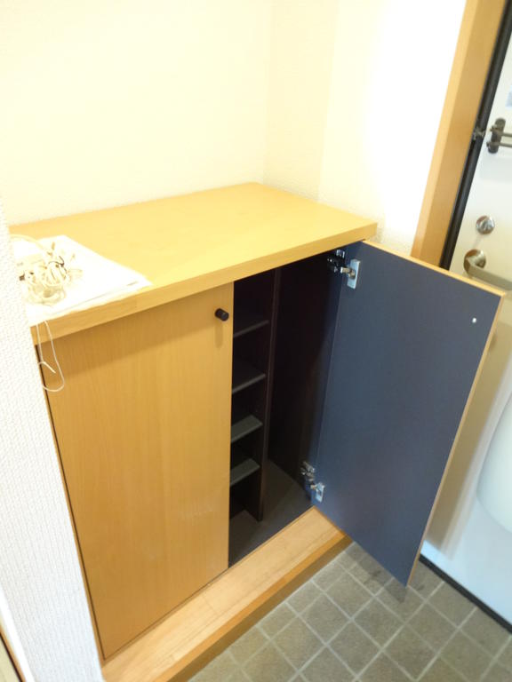 Entrance. There entrance shoe storage