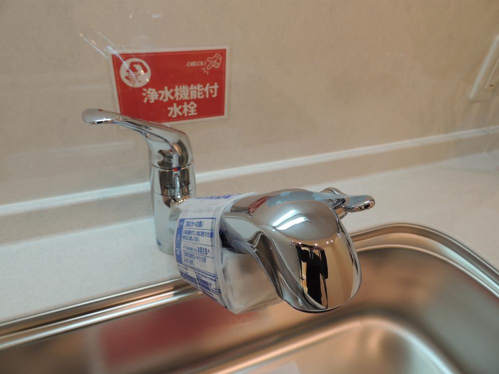 Other. With water purifier