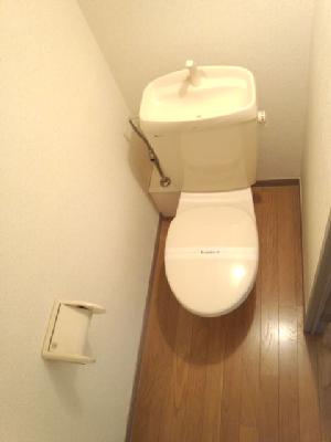 Toilet. Western-style flush toilet