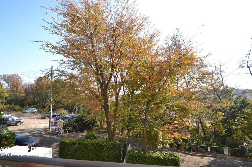 View photos from the dwelling unit. View from the site (December 2013) Shooting