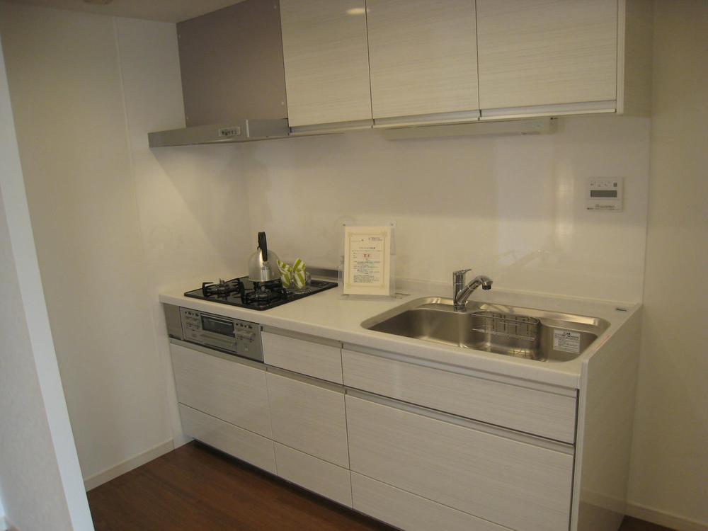 Kitchen. Indoor (November 4, 2013) Shooting