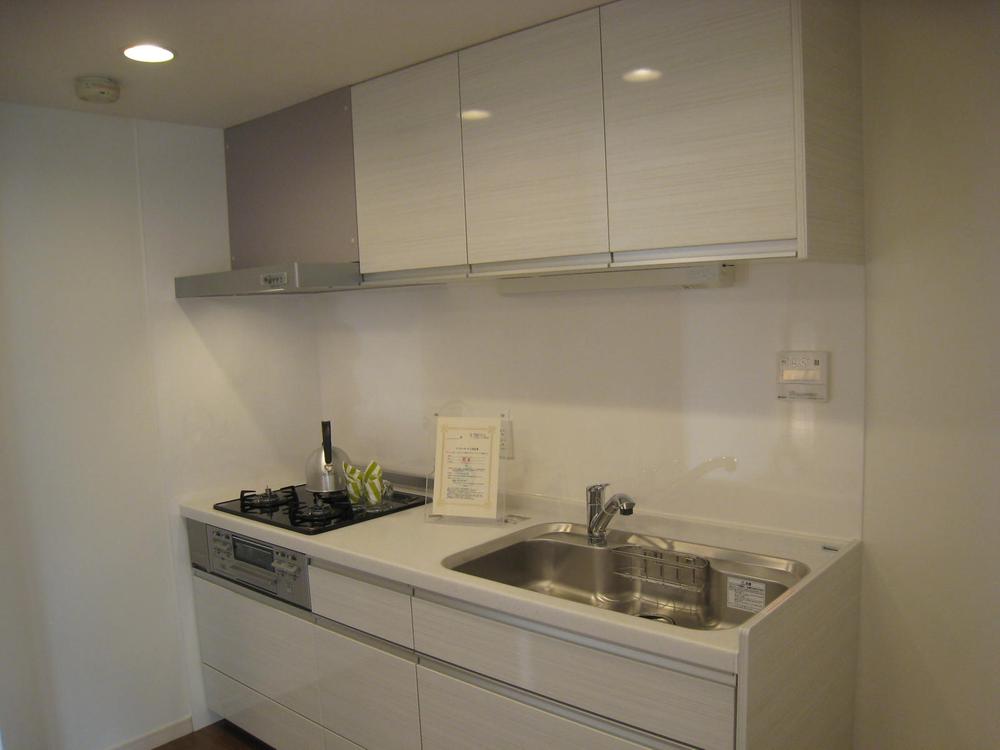 Kitchen. Indoor (November 4, 2013) Shooting