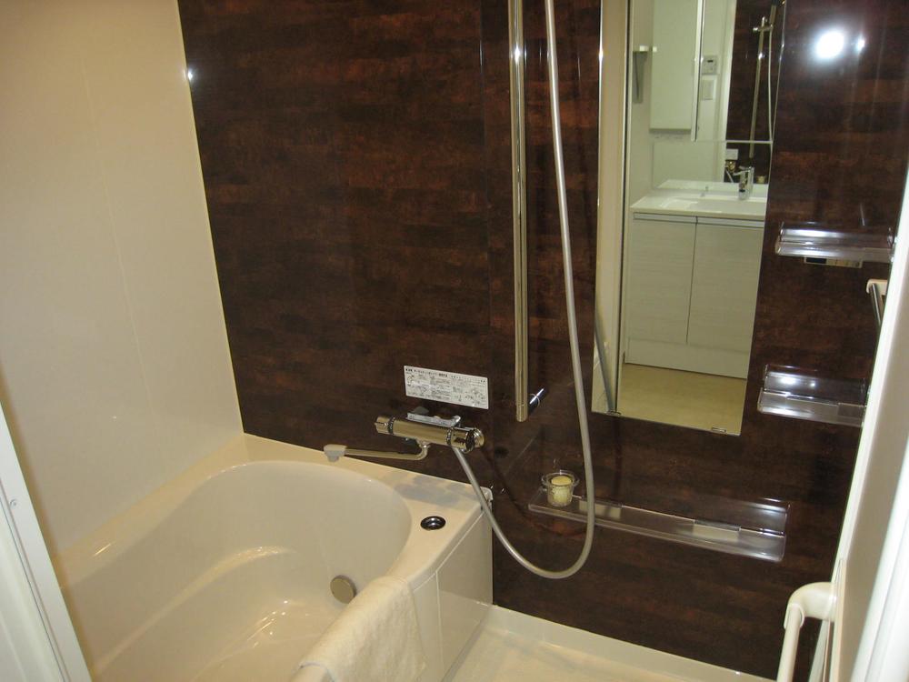 Bathroom. Indoor (November 4, 2013) Shooting