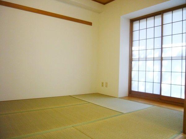 Other introspection. Japanese style room