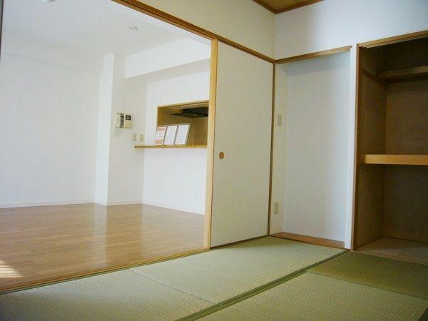 Other introspection. Japanese style room