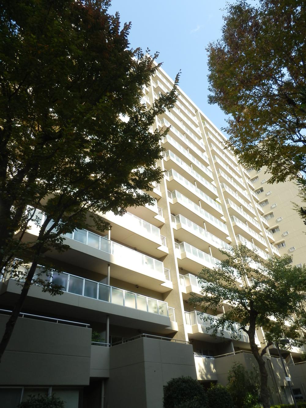 Local appearance photo. appearance