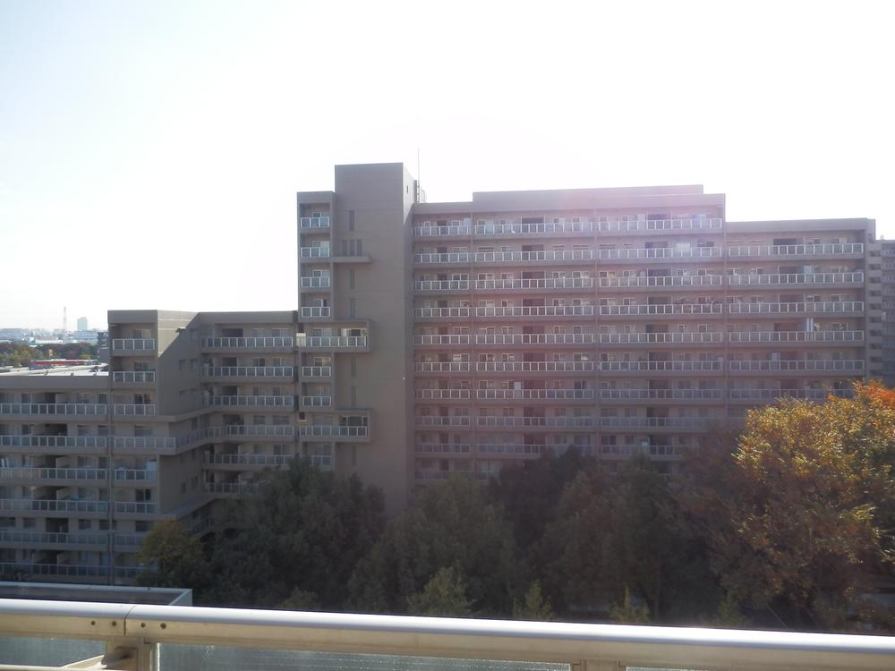 View photos from the dwelling unit. View from the south balcony