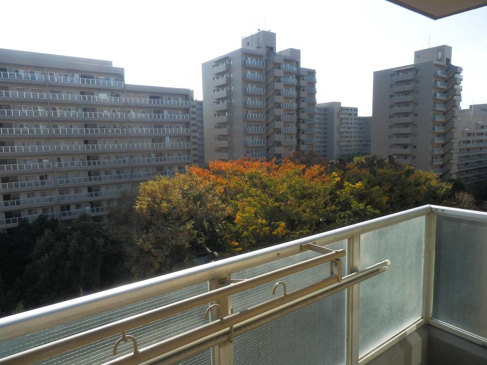 View photos from the dwelling unit. View from the south balcony