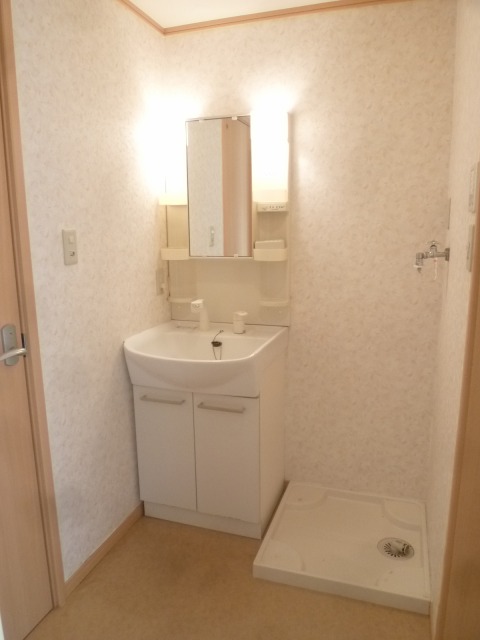 Washroom. Shower Dresser