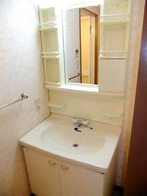 Washroom. Bathroom vanity