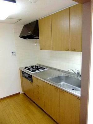 Kitchen. System kitchen