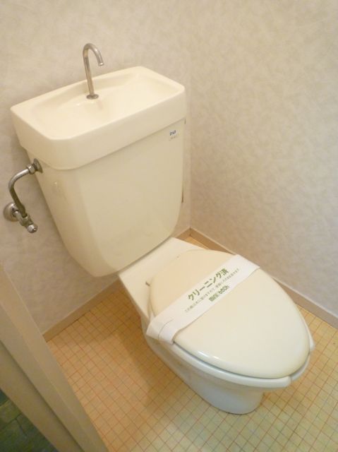 Toilet