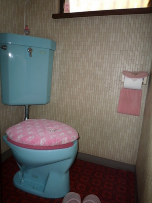 Toilet. Window there