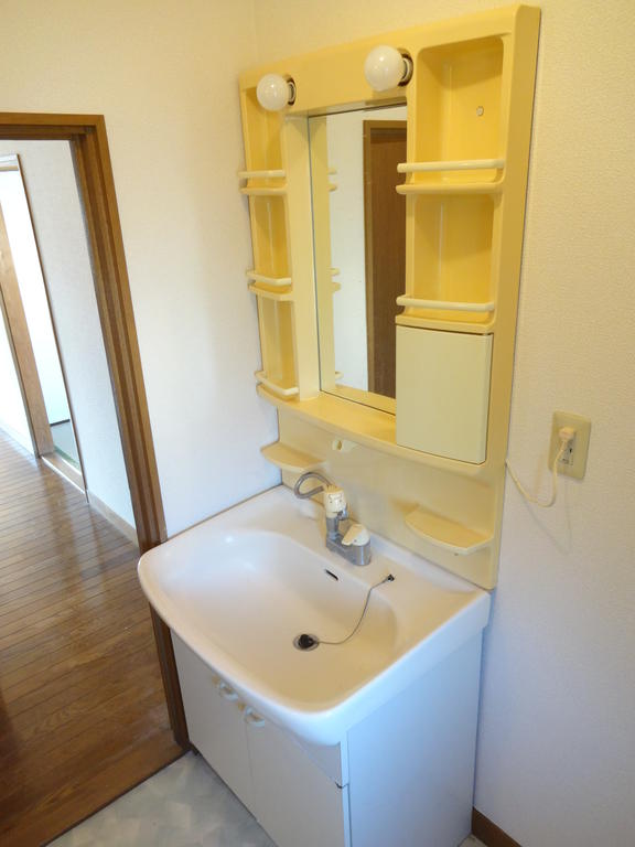 Washroom. Shampoo dresser