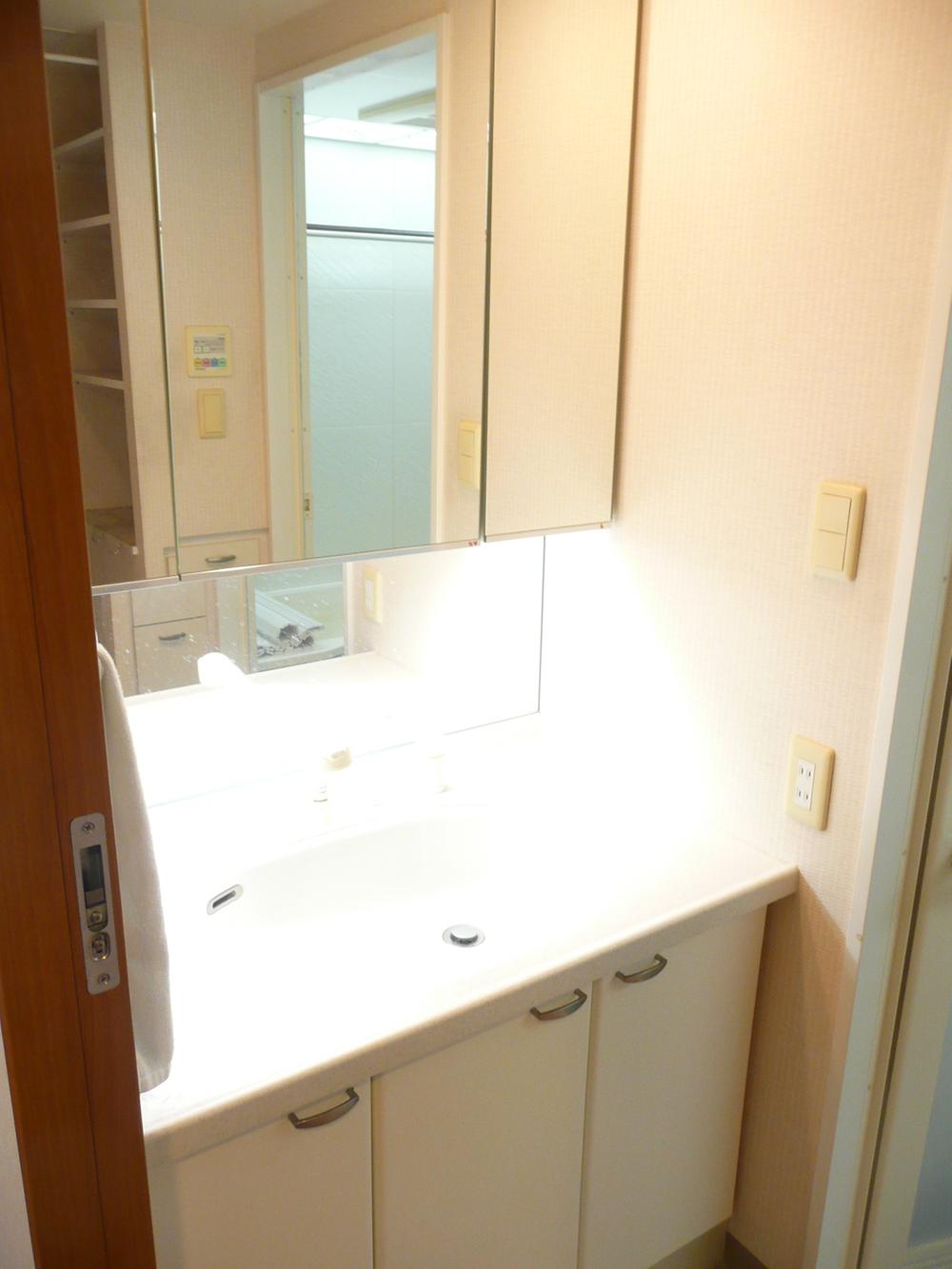 Wash basin, toilet. Bathroom vanity