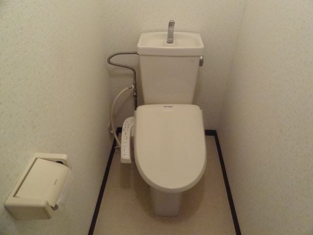 Living and room. Toilet with shower