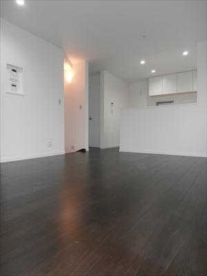 Living. Local photo (2013 December)