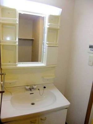 Washroom. Bathroom vanity