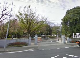 Other. 647m until the Institute of Physical and Chemical Research (Other)