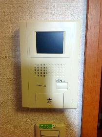 Other. Monitor with intercom