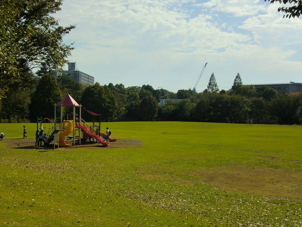 park. 900m to the forest park (park)