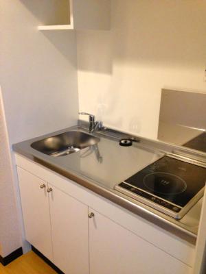 Kitchen. Spacious two-burner stove kitchen of spread