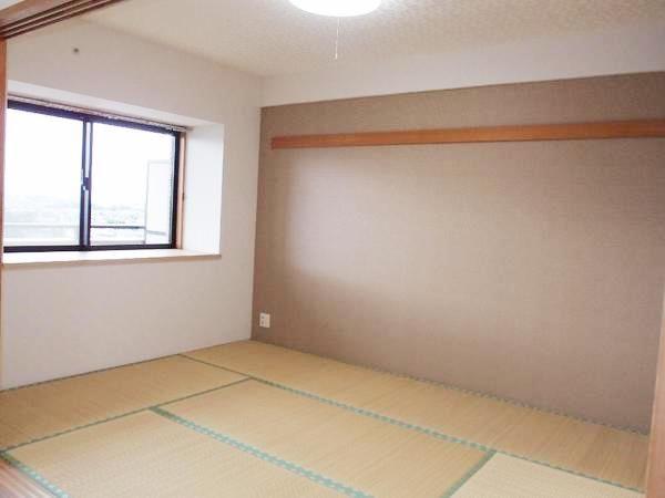Other introspection. Japanese style room