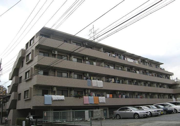 Local appearance photo. Local (12 May 2012) shooting