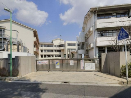 Primary school. Warabi Tatsukita to elementary school (elementary school) 456m