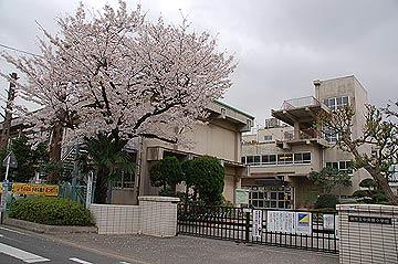 Primary school. Warabishiritsu the center to the elementary school 423m
