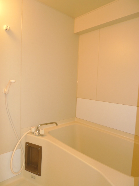 Bath. Image (another in Room photo)