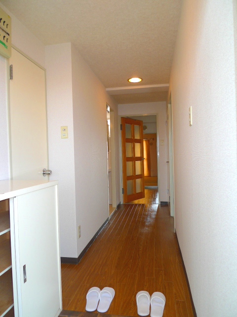 Entrance. Image (another in Room photo)