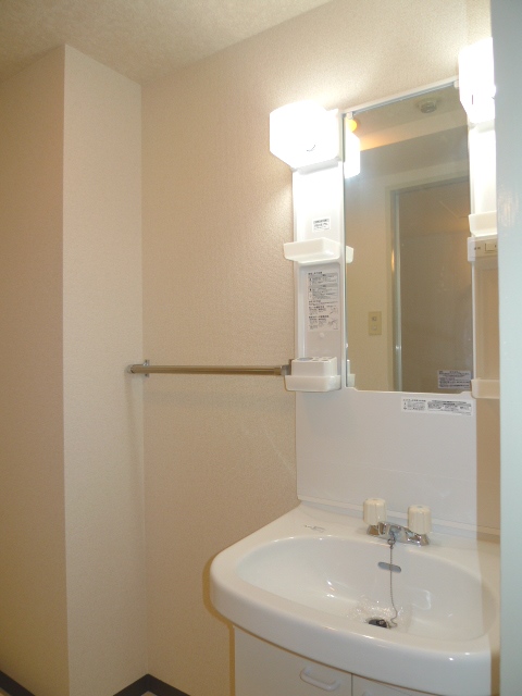 Washroom. Image (another in Room photo)