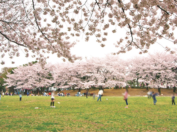 Surrounding environment. Bracken citizen park (about 900m / A 12-minute walk)