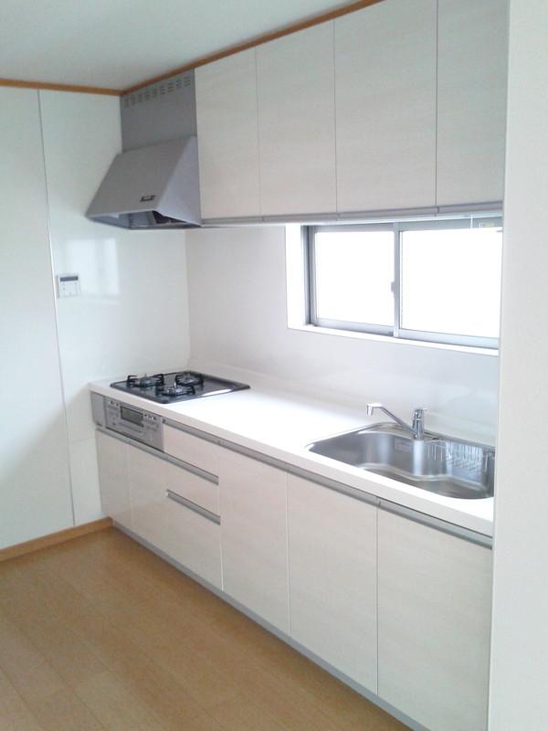 Kitchen. A clean system Kitchen