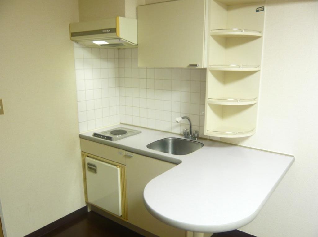 Kitchen. Mini is a fridge