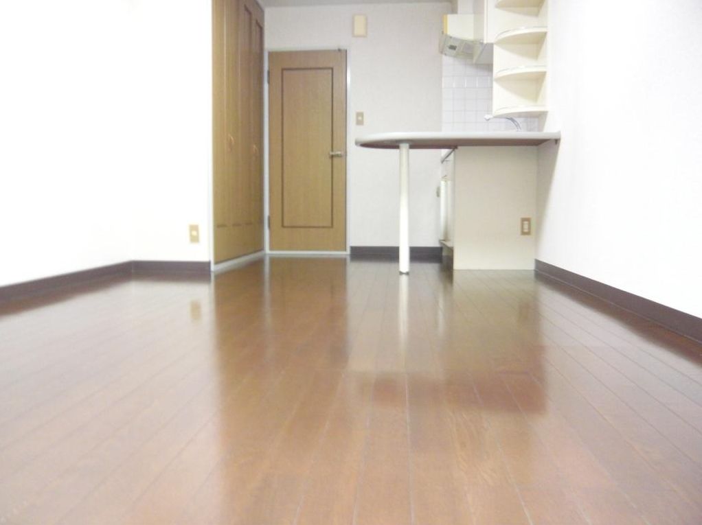 Living and room. Kitchen counter