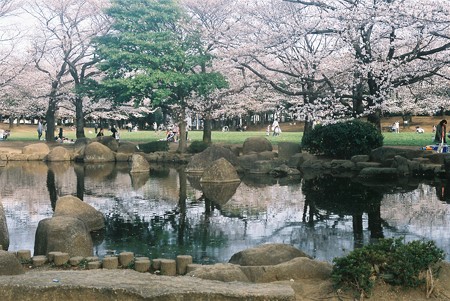 park. 516m until bracken City Park (Park)