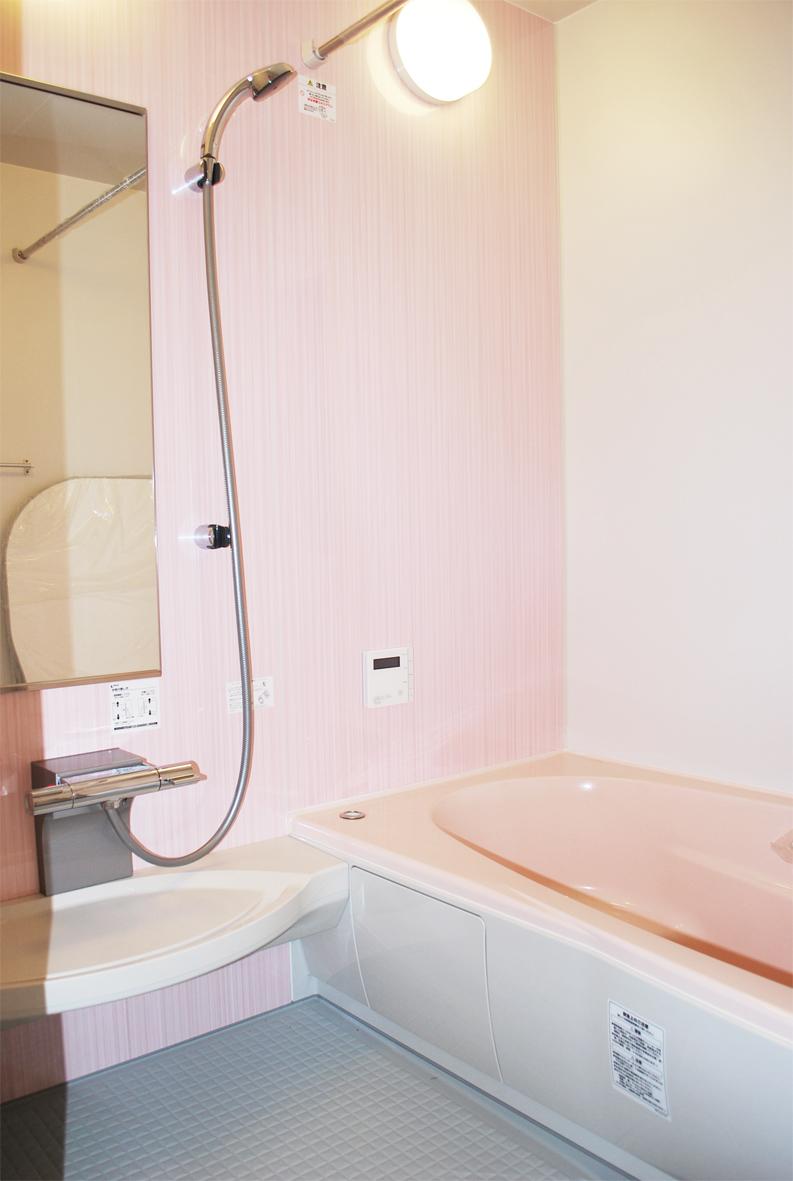 Bathroom. 7 Building bathroom Mist sauna, Bathroom heating drying function