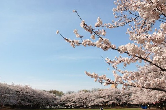 park. 1041m to bracken City Park (Park)