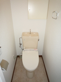Toilet. Toilet with a bidet