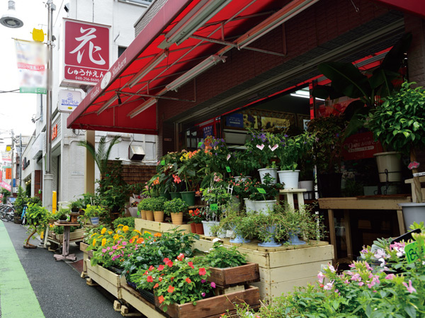Surrounding environment. Florist Shukaen (about 230m / A 3-minute walk)
