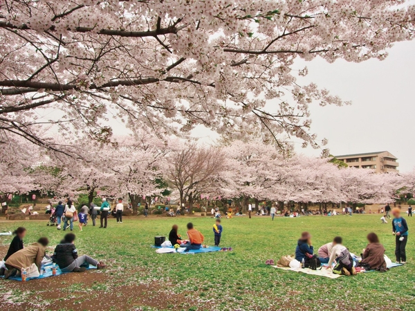 General playground variety of sports, such as athletics stadium and tennis courts can enjoy, Aoki-cho Park. Other events, Sports classes also held (about 470m ・ 6-minute walk) ※ 2