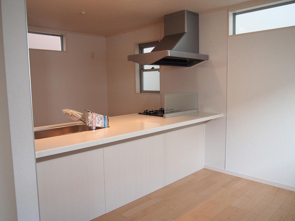 Kitchen. Stylish system Kitchen